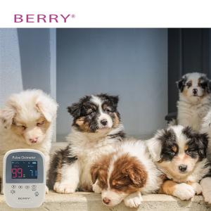 China Medical Equipment Veterinary Pulse Oximeter With 1 Year 2 AA Alkaline Battery Veterinary factory