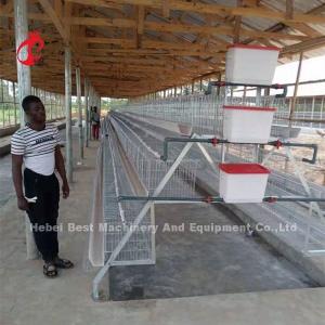 China 120-Cage Automatic Battery Chicken Cage System with Galvanized Surface Adela factory