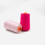 OEKO TEX 800 Colors 40S/2 4000m Polyester Sewing Thread