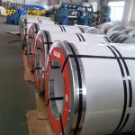 Stainless Steel Slit Coil Hot Cold Rolled 310 310S 310H 430 Ss Strip Manufacture