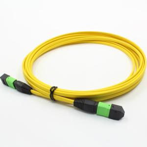 China 12 Core Single Mode MPO Patch Cable 2m For Machine Room factory