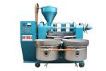 Commercial Oil Press Machines Extractor For Black Seeds Seasame Rapeseed