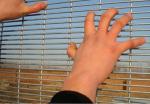 Security Powder Coated Wire Mesh Panels 12.7 X 76.2mm 4.0mm Diameter