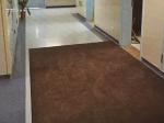 Hotel Entrance Front Door Mat Indoor Grease proof synthetic rubber Backing