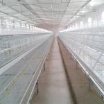 Corrosion Resistant Poultry Layer Cage , Durable Ground Bird Feeder Cage