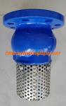 10 inch 10K ductile iron flanged foot valve