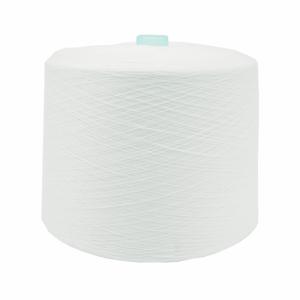 China 20/2 30/2 20/3 30/3 40/2 50/2 100% Polyester Spun Yarn For Sewing Thread factory
