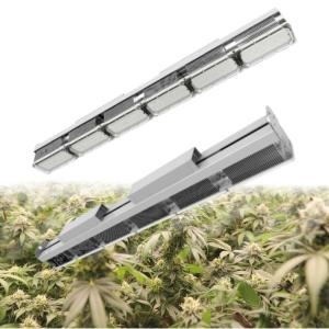 China No Shading Greenhouse LED Grow Lights For Succulents Full Spectrum factory