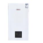 Imported Components Gas Combi Boilers 20kw Wall Hung Lpg Hot Water Boiler
