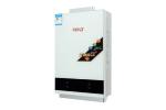 24L Gas Hot Water Heaters Wall Mounted Propane Boiler Stainless Steel