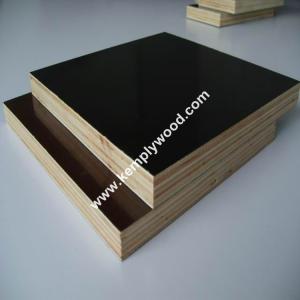 China 12mm/15mm/18mm Printed Logo Film Faced Plywood one time hot pressed shuttering plywood factory