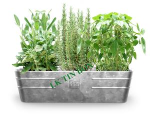 China Metal Tin Bucket Rectangular Flower Vegetables Plants Herbs Growing factory