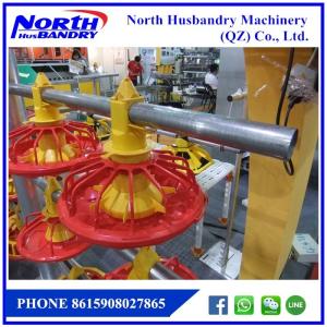 China poultry birds chicken broiler flooring or ground feeding and drinking line factory