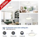 Contemporary Design 5 Speed LED Ceiling Fan with Hidden Blades 42 Inch Space