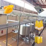 SUS 304 / 316L Mango Processing Machine Aseptic Bags 10 - 100T/D