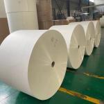 Oilproof Single PE Coated Paper Roll Non Fluorescence For Food Containers