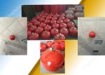 Automatic fm200 Fire Extinguishing system Professional Manufacturers Direct