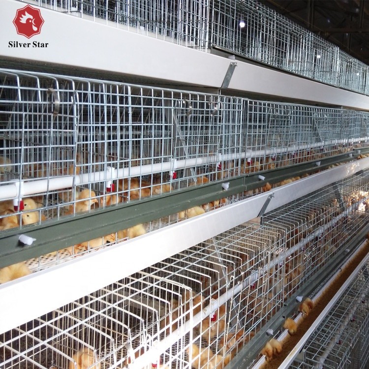 Q235 H Type Automatic Broiler Chicken Cage In Poultry Farm