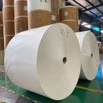 Eco Friendly Disposable PE Coated Cup Stock Paper Roll 200gsm 100% Wood Pulp