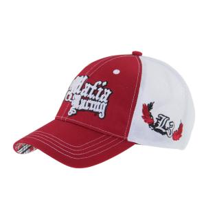 China Pre Curved Peak Mesh Trucker Caps 3D Embroidery Baseball Caps 4 Panels factory