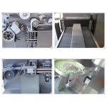 Tablet Blister Packing Machine , Capsule Pharmaceutical Blister Packaging