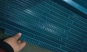 China 1000 Series with 25.4mm Pitch Plastic Conveyor Modular Belt factory