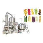 10-300kg/H Continuous Vacuum Frying Machine For Banana Chips 6L Capacity