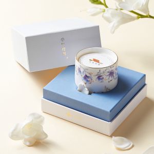 Customized Ceramic Wax Melt Burners in Various Shapes Sample Charge