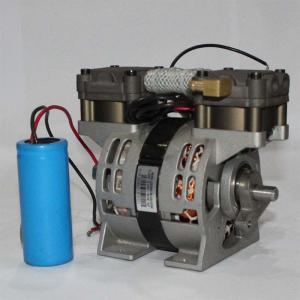 China 100W Oil Less Piston Compressor Disinfection Equipment Compressor Oilless 110V 60Hz factory
