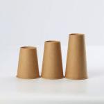 Insulated Lining Printed 18oz Biodegradable Kraft Paper Cups Hot Beverage