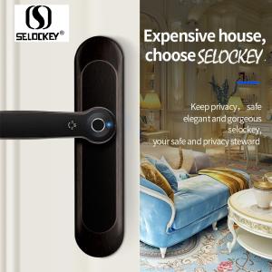 China No Drilling Hole Household Fingerprint Zinc Alloy Smart Door Locks factory