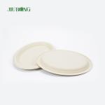 Noodle Biodegradable sugarcane food packaging Disposable Matt Lamination