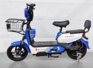 China Two 2 Person Electric Scooter Cycle 14&quot; 48v 12Ah 500w factory