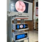 Medical Ultra 4K Ent Endoscope Camera System Tower DEC3840B