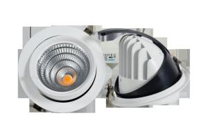 China adjustable led downlight 20w 30w 40w 50w 60w SMD COB gimbal led downlight factory
