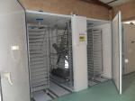 Egg Trolley 30000 Egg Incubator Hatching Machine
