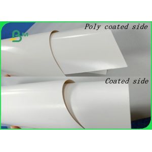 China Customized FBB Poly Coated Paper FDA Good Sealing For Paper Box In Sheet on sale