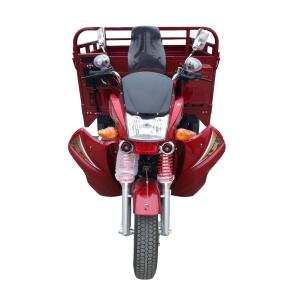 China 2t Load Open 70km/H Cargo 250cc Petrol Tricycle factory