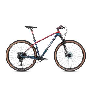 China T900 MAX 27.5 29er Carbon Fiber Montain Bike SRAM GX 12 Speed Disc Brake MTB factory