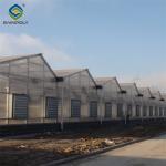 5.5-7.5m Height Photovoltaic Greenhouse With Solar Panel Roof