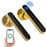 Fingerprint Password Tuya App Door Lock Aluminium Grip Open Biometric Door