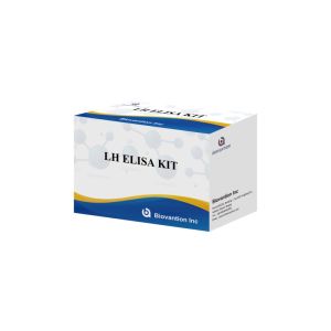 Biovantion ELISA Test Kit for diagnosis Human Luteinizing Hormone LH (Quantitative) hormones detect