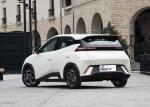 Good Price Competitive Automobile Factory 2WD BYD EV Car Seagull 4Seater Pure
