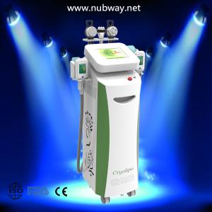 China CE aproved Cryolipolysis Slimming Machine on a Crazy Promotion factory