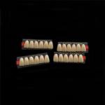 High Strength Dental Artificial Acrylic Resin Composite Teeth Long Lasting Stain