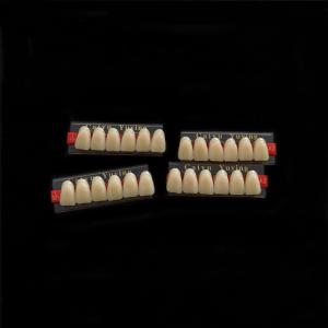 China Stain Resistance Dental Artificial Teeth Acrylic Resin Incisor 2x1 Manufacturer CE ISO Composite Dentadura factory