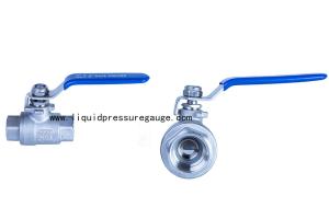 China Stainless Steel BSP Instrument Manifold 2 PC Ball Valve 1/4 NPT Female To Female factory