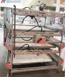 Poultry Farm Chicken Feeding Line Automatic Poultry Pan Feeding System