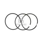 PISTON RINGS 04900839 04900843 0490 0839 For VOLVO B7R TAD734 TAD722 TAD721