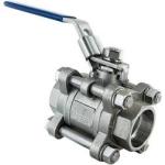 Dn25 Stainless Couplings Stainless Steel 304 Vertical Spring Check Valve With